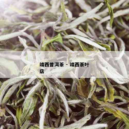 靖西普洱茶 - 靖西茶叶店