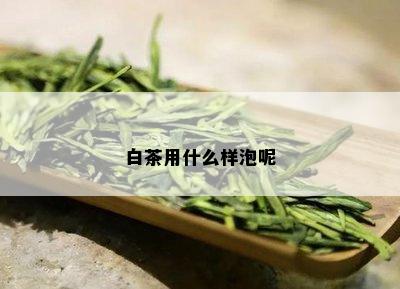 白茶用什么样泡呢