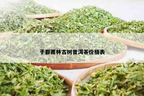 于都雨林古树普洱茶价格表