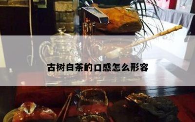 古树白茶的口感怎么形容