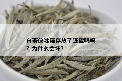 白茶放冰箱存放了还能喝吗？为什么会坏？