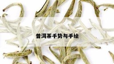 普洱茶手势与手绘