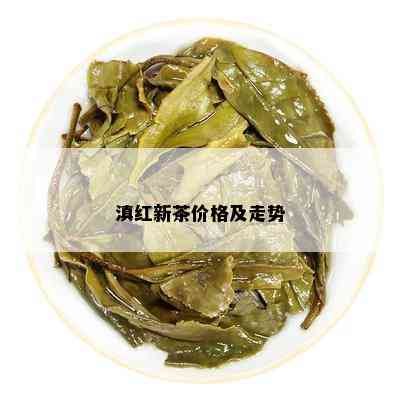 滇红新茶价格及走势