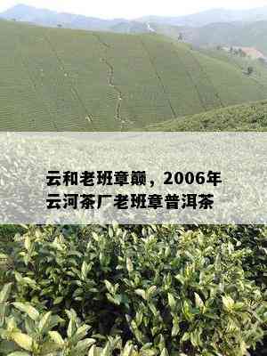 云和老班章巅，2006年云河茶厂老班章普洱茶