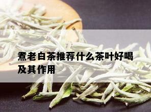 煮老白茶推荐什么茶叶好喝及其作用