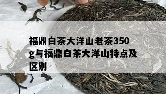 福鼎白茶大洋山老茶350g与福鼎白茶大洋山特点及区别