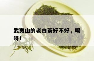 武夷山的老白茶好不好，喝呀！