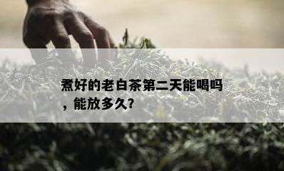 煮好的老白茶第二天能喝吗，能放多久？