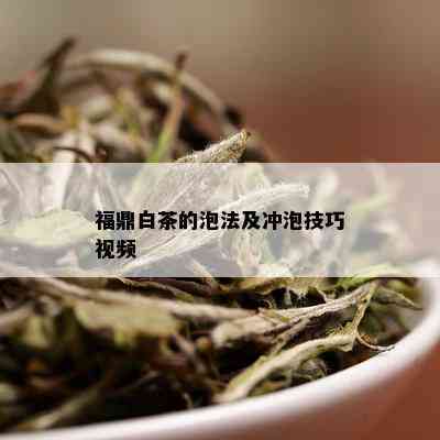 福鼎白茶的泡法及冲泡技巧视频