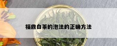 福鼎白茶的泡法的正确方法