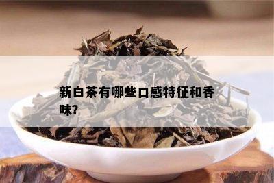 新白茶有哪些口感特征和香味？