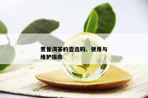 煮普洱茶的壶选购、使用与维护指南