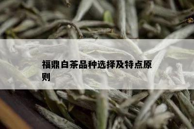 福鼎白茶品种选择及特点原则