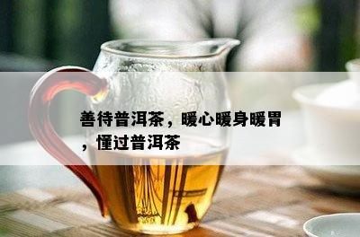 善待普洱茶，暖心暖身暖胃，懂过普洱茶