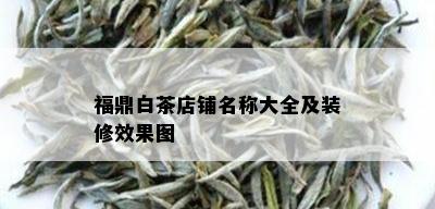 福鼎白茶店铺名称大全及装修效果图