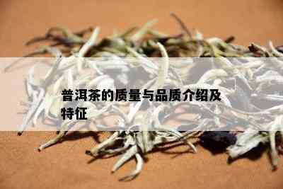 普洱茶的质量与品质介绍及特征