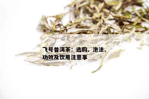 飞号普洱茶：选购、泡法、功效及饮用注意事