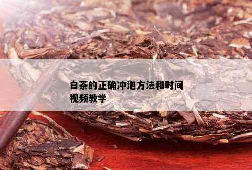 白茶的正确冲泡方法和时间视频教学