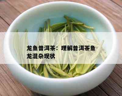 龙鱼普洱茶：理解普洱茶鱼龙混杂现状