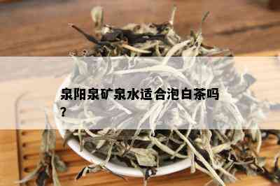 泉阳泉矿泉水适合泡白茶吗？