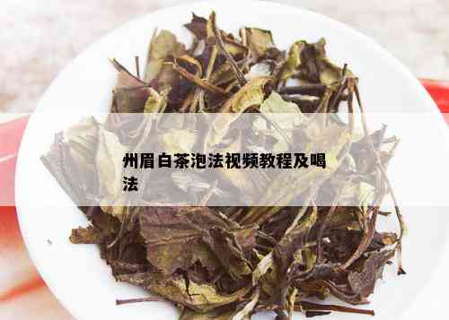 州眉白茶泡法视频教程及喝法