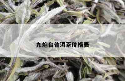 九炮台普洱茶价格表