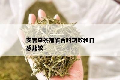 安吉白茶加雀舌的功效和口感比较