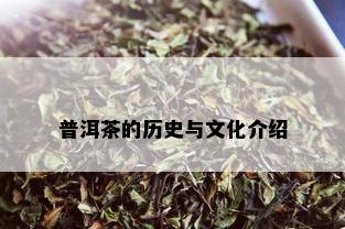 普洱茶的历史与文化介绍