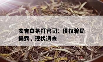 安吉白茶打官司：侵权骗局揭露，现状调查