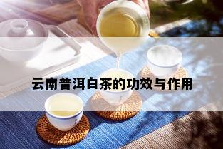 云南普洱白茶的功效与作用