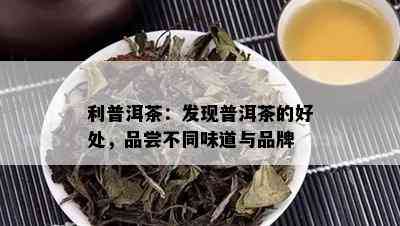 利普洱茶：发现普洱茶的好处，品尝不同味道与品牌