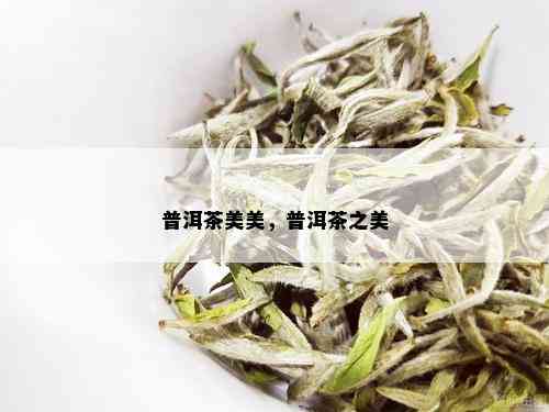 普洱茶美美，普洱茶之美