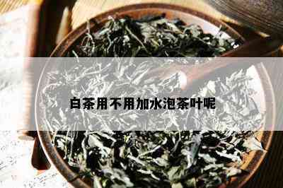 白茶用不用加水泡茶叶呢