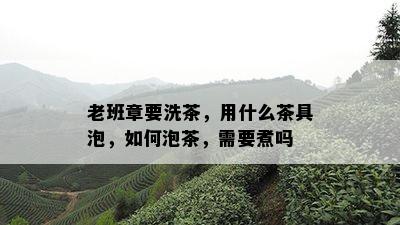 老班章要洗茶，用什么茶具泡，如何泡茶，需要煮吗