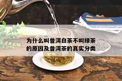 为什么叫普洱白茶不叫绿茶的原因及普洱茶的真实分类