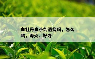 白牡丹白茶能退烧吗，怎么喝，降火，好处