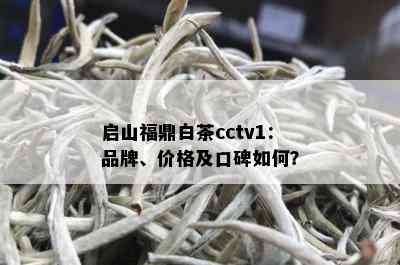 启山福鼎白茶cctv1：品牌、价格及口碑如何？