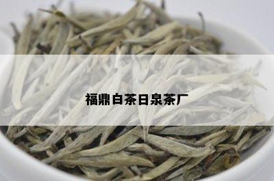 福鼎白茶日泉茶厂