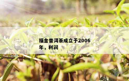 福金普洱茶成立于2006年，利润