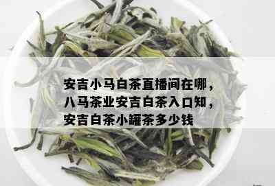 安吉小马白茶直播间在哪，八马茶业安吉白茶入口知，安吉白茶小罐茶多少钱