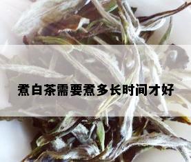 煮白茶需要煮多长时间才好