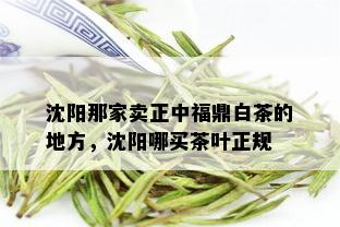 沈阳那家卖正中福鼎白茶的地方，沈阳哪买茶叶正规