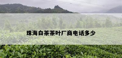 珠海白茶茶叶厂商电话多少