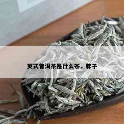 英式普洱茶是什么茶，牌子