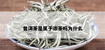 普洱茶是属于浓茶吗为什么