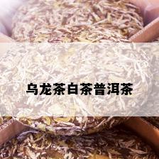 乌龙茶白茶普洱茶