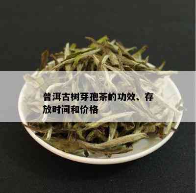 普洱古树芽孢茶的功效、存放时间和价格