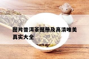 图片普洱茶图册及高清唯美真实大全