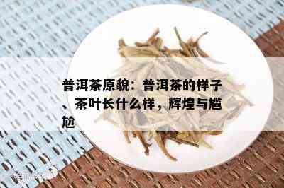 普洱茶原貌：普洱茶的样子、茶叶长什么样，辉煌与尴尬