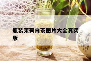 瓶装茉莉白茶图片大全真实版